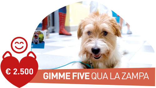 Immagine Gimmi Five pacchetti natale aziende 2026