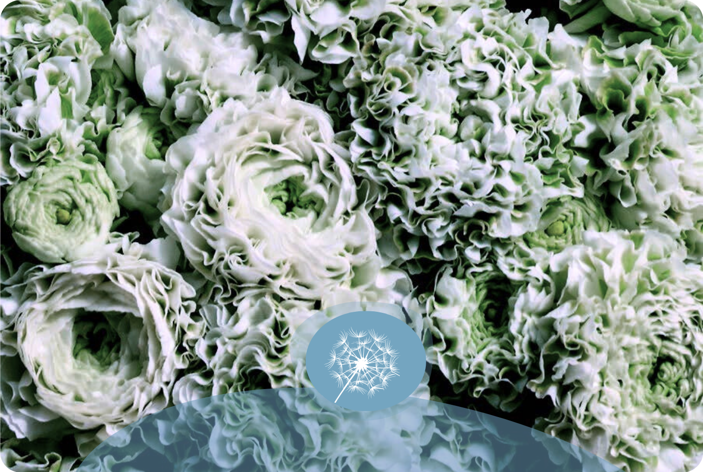 Fiore